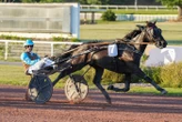 Arrivée du quinté du jeudi 7 août à Enghien : Kung Fu Quick se montre le plus fort