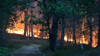 Un incendie d’une « ampleur exceptionnelle » au sud de Paris : ce que l’on sait du feu très inquiétant en forêt de Fontainebleau