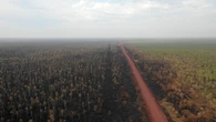 « Les premières à montrer cette réaction au changement climatique » : en Australie, des forêts qui émettent plus de CO2 qu’elles n’en absorbent
