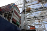 Seine-Maritime : environ 2,5 tonnes de cannabis saisies par les douanes au port du Havre