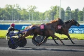Arrivée du quinté du mardi 26 mai à Paris-Vincennes : le dernier mot pour Léontine Cash