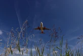 Deux morts dans le crash d’un jet privé en République dominicaine, la deuxième destination touristique d’Amérique latine