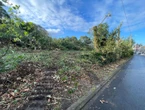 « Je suis outrée et triste » Des dizaines de grands arbres abattus sans autorisation à Trouville