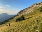 « Ça fait dix ans qu’on dit qu’il va y avoir un accident » : un berger alerte après l’attaque mortelle de ses chiens sur un randonneur