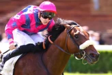Arrivée du quinté du dimanche 4 mai à ParisLongchamp : le jour de gloire de Ziggy Star et Dorian Provost