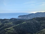 « Mettre en avant des terroirs particuliers » : dans le Roussillon, Collioure rêve d’avoir enfin ses premiers crus