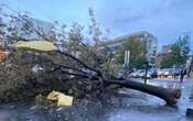 Tempête Mathis : deux morts dans les Vosges et en Alsace, des déraillements de trains en Suisse