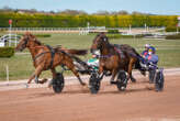 Arrivée du quinté du mercredi 19 mars à Argentan : Ialto d’Hertals et Clément Duvaldestin dominent la favorite