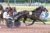 Arrivée du quinté du 18 juillet à Enghien : Rochard, Buisson et Dayak, à fond la forme !