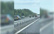 En Bretagne, des chevaux en divagation sur l’autoroute poursuivis par les gendarmes