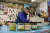 « Elles sont partout et n’ont que des bienfaits » : à la découverte des algues alimentaires avec la pionnière Scarlette Le Corre