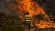 Un incendio en Cualedro quema 50 hectáreas y salta a Portugal