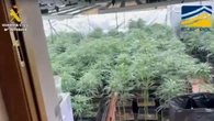 Desmantelada una red que enviaba droga desde España a once países europeos a través de empresas de paquetería