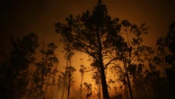 Hasta 20 años de cárcel por provocar un incendio forestal si peligran vidas humanas