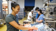 Las cooperativas de trabajo ingresan un 5% más y consolidan su crecimiento