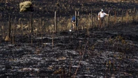 Agricultores y ecologistas se unen: “Un fuego se apaga en invierno con limpiezas de montes”