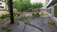 Crónica visual de una tormenta inesperada