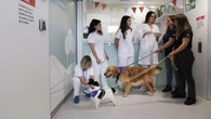 El hospital Vall d'Hebron ficha a cinco 'dogtoras'