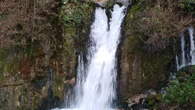 Ríos de leche camino del otoño
