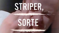 ‘Rayas blancas, ovejas negras’, el libro que acusa a Marius Borg de vender cocaína ante el palacio real
