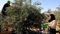 El parlamento israelí da el primer paso para anexionarse Cisjordania