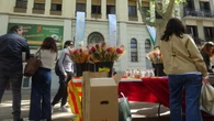Sant Jordi activo en las escuelas