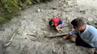 Un niño con un detector de metales descubre un naufragio de hace dos siglos enterrado bajo la arena en una playa de Canadá