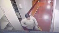 Delatada por las cámaras: visita a su nieta al hospital, pero termina detenida por robarle el iPhone a una enfermera