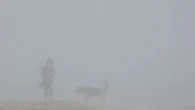 Perdidos en la niebla de la playa