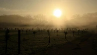 La niebla se alía con la calima