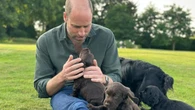 La tierna felicitación de Kate Middleton a Guillermo para celebrar su aniversario
