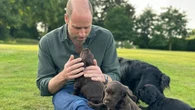 PETA critica a los príncipes de Gales por criar cachorros en plena crisis de abandono