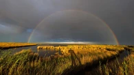 Después de la tormenta llega la calma