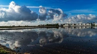 Los estéticos reflejos de Poblenou del Delta