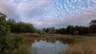El gran cielo del Parque del Lago