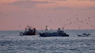 El amanecer de la flota pesquera