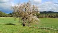 El paisaje del Moianès se reivindica