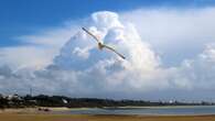 Los cumulonimbus del Rompidillo