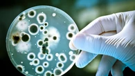 Estas son las ocho finalistas del premio Vanguardia de la Ciencia 2025