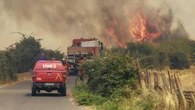 Estos son los municipios afectados por los incendios en Madrid y Castellón