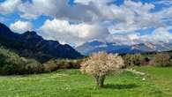 El paisaje suizo de Borredà