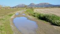 El paisaje encharcado del Baix Empordà