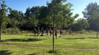 Conexión dominical en el Parc de la Pollancreda