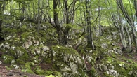 El paisaje élfico con vistas a Logroño