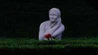 La rosa de la serenidad