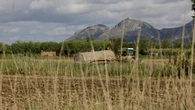 Les Basses d'en Coll al natural
