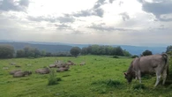 El disfrute del paisaje en Tavèrnoles