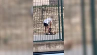 Un vídeo viral en redes sociales ayuda a destapar un caso de maltrato animal
