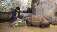 Jordi Gutiérrez, el amante de los animales que siempre soñó con cuidar tortugas