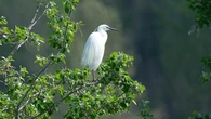 La belleza blanca de los meandros del Ter